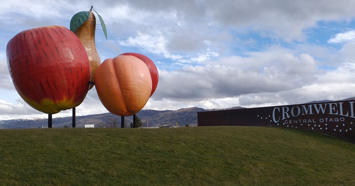 Plenty of choice for Cromwell voters in board byelection Crux