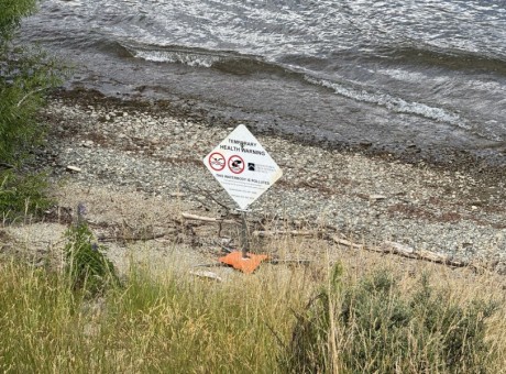 Frankton Arm sewage sign