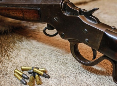 0.22 rifle and ammunition