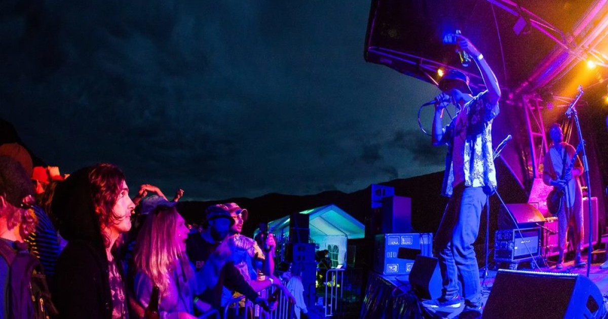 Our favourite summer music festivals across the lower South Island | Crux