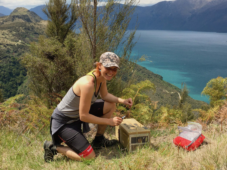 Athlete setting a trap near Wanaka