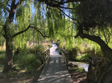 Bullock Creek Hatchery Springs