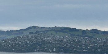 Dunedin houses on hill