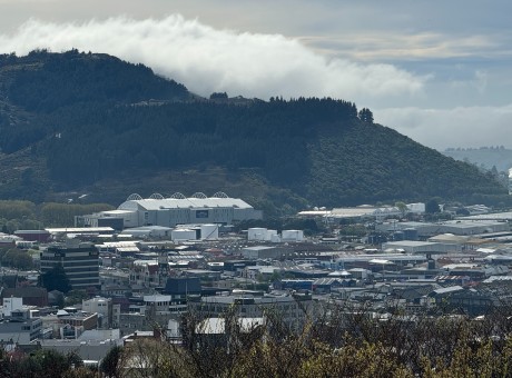 Dunedin overview