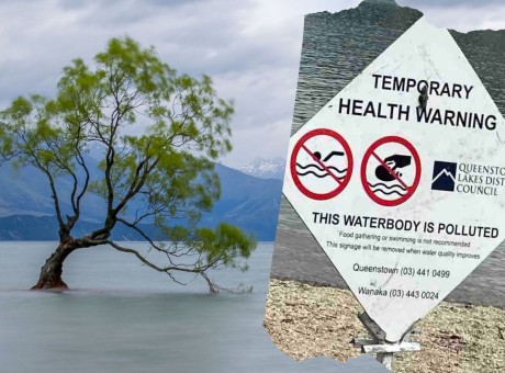 Health warning Roys Bay