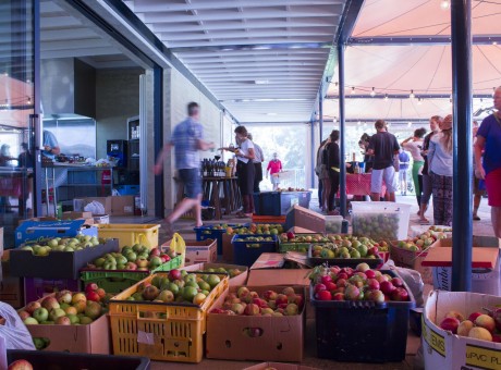 Hoem grown food 2 WAO Aotearoa Apple Drive