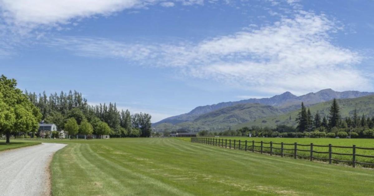 Conferences, catering and yoga Plans for Ladies Mile hub Crux