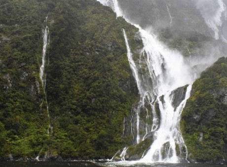 Milford Sound in rain