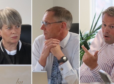 Miller Theelen and Lewers feature