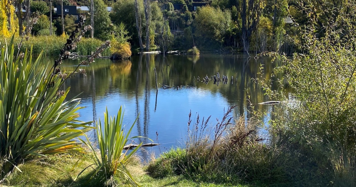 Open Day for Albert Town Lagoon a chance to discover the part you