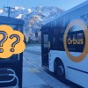 QLDC bus stop design