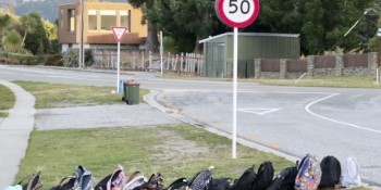 School bags lined up at a Kelvin Heights bus stop in Queenstown. Photo RNZ Katie Todd