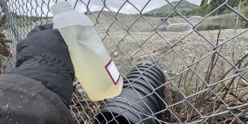 Shotover sewage feature