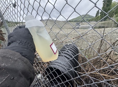 Shotover sewage feature