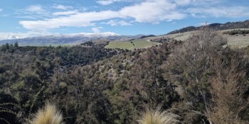 Tarras mine site