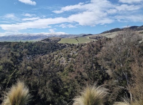 Tarras mine site