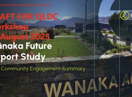 Wanaka survey cover