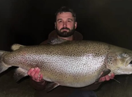 World record fish RNZ