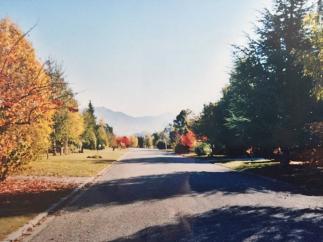 Bridget Mills autumn colours