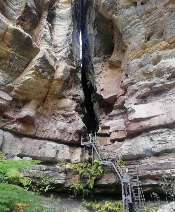 Ampitheatre Carnarvon Gorge