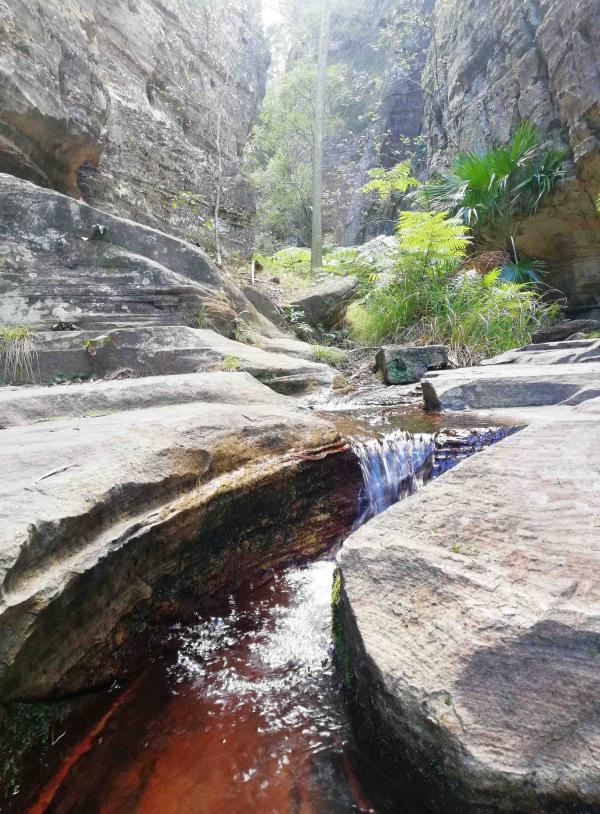 Wards Canyon Carnarvon Gorge 1