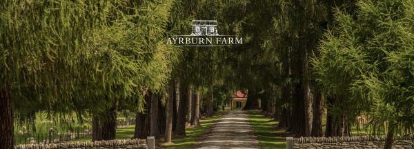 Ayrburn Farm