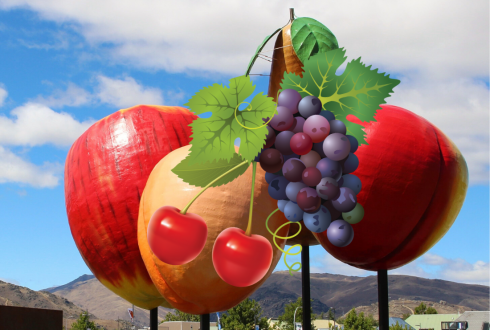 cromwell cherries and grapes