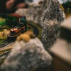 model train pic