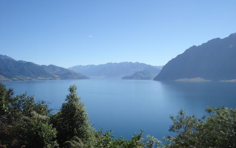 eight_col_TP_foreignbuyer