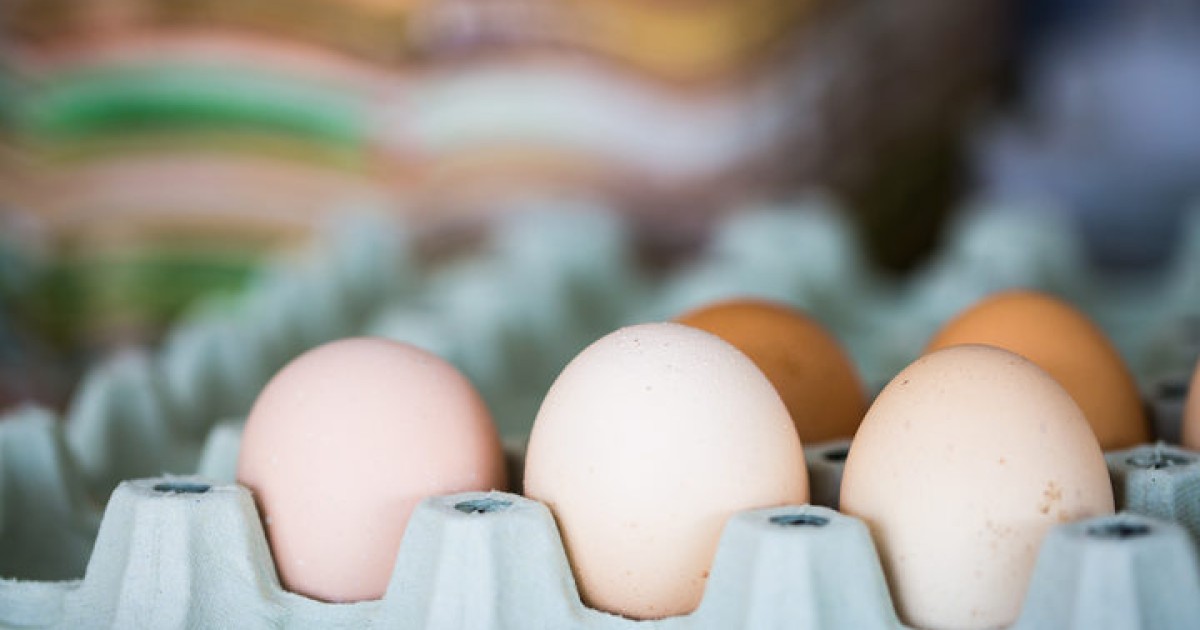 Egg farmer sold caged eggs as free range, commission alleges Crux